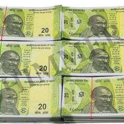 ₹20 Dummy Currency Notes – Pack of 500 | Toy Money for Kids, Learning & School Projects Fake Money Fake Note Nakli Note Dummy Currency Fidget Toy Gag Toy-image-101
