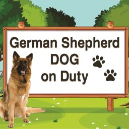 Beware of The Dog Safety Warning Sign Board For Home office (Size 10x8 Inch) D45 Emergency Sign-image-58