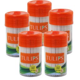 250 Wooden Toothpicks in a Reusable Jar-image-19