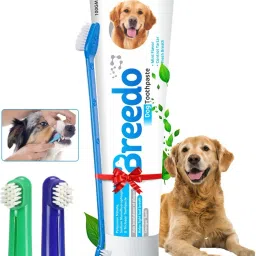 Cool Mint Toothpaste and 3Pcs Dog Toothbrush Combo for Dogs - 100g | Pet Toothpaste-2