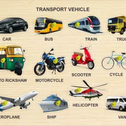 Wooden Puzzle of Transport Vehicle Name with Image for Kids Education-image-1