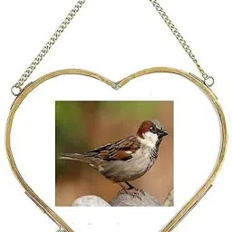 Heart frames Glass & Metal Hanging Frame/Photo-frame.(6x6) 6 inch Heart frames Glass-image-73
