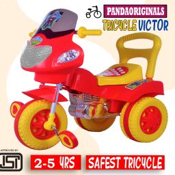 HEAVY DUTY Tricycle-25