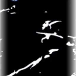 Snooky vivo V17 Neo Mobile Skin-image-6