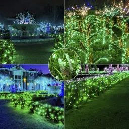 pesca 40 LEDs 11 m Green Steady String Rice Lights image 5