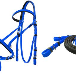 Snaffle Horse Bridle-32