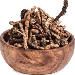 Kedar Kadvi (Jadd) - Kutki Root - Katuka Rohini - Katuki Jadd - Kutaki Root seed Seed-image-9
