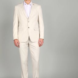 Men Suit Textured Suit-image-4