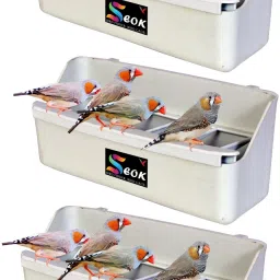 F2-Combo-3 Window Bird Feeder Bird Feeder-0