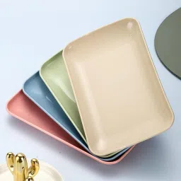unbreakable wheat straw plates (Random, Pack of 2) Sizzler Tray-14