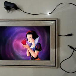 , CINDERELLA MODAL NO-35 , 15.5 inch LED PHOTO FRAME-image-96