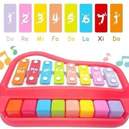Kid's 2 in 1 Piano Xylophone Musical with 8 Key Clear Tones with Music(1pcs)-24