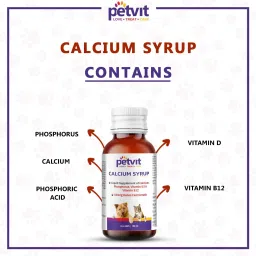 petvit Calcium Syrup with Calcium, Phosphorus, Vitamin D3 & B12 For Dog Stronger Bones, Teeth & Growth in Pet For All Age Group – 100ml Pet Health Supplements image 3
