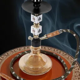 SmokeBliss Compact Hookah Set 16 inch Iron Hookah-picture-27