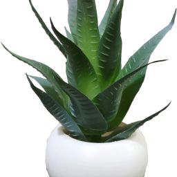 Imported High Quality Aloevera Plant Artificial Plant with Pot-18
