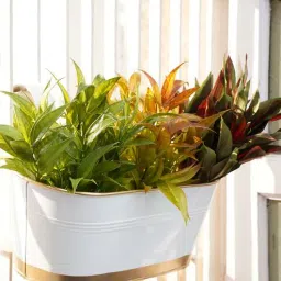 gold dust Metal Railing Planter-picture-46