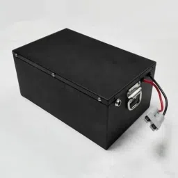 EV 48V 30AH (LFP) LITHIUM FERRO PHOSPHATE BATTERY-15