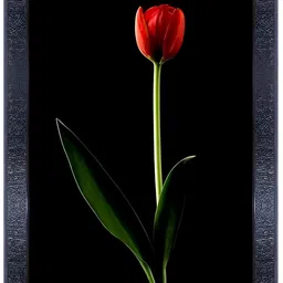PnF Black & Red Wooden Floral And Botanical Wall Painting-image-93