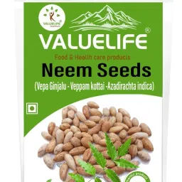 Neem Seeds/Vepa Ginjalu/Azadirachta indica Seed-image-91