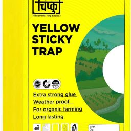 A 4 Yellow Sticky Trap for Garden & Farm, To Control Aphids, Whiteflies, etc.-image-18