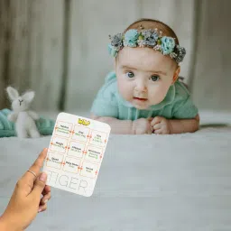 todfod Re-writable Smart Knowledge Flash Cards with Pen for Tracing Activity image 3