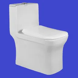 One Piece Western Toilet Commode Water Closet EWC S Trap Distance 225mm Western Commode-16