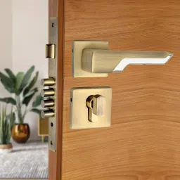 Brass, Gold Plated Matte, Chrome Handlesets-22