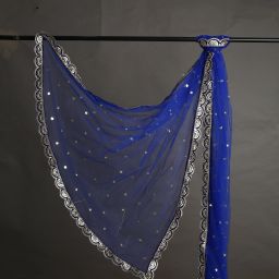 Net Embroidered Dark Blue Women Dupatta-image-40