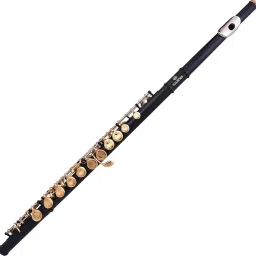 Flutes Key of C 16 Key for Beginner, Black Gold Nickel Flute with Leather Case Plated Flute-picture-25