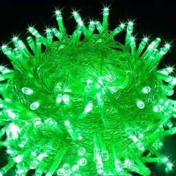 42 LEDs 10 m Green Steady Bulb Rice Lights-0