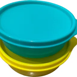 Buddy bowl 2 Containers Lunch Box-image-74