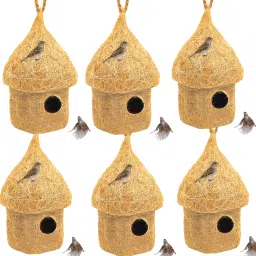 NATURAL HUT SHAPE BIRD HOUSE FOR ALL BIRDS PACK OF 6 Bird House-image-16