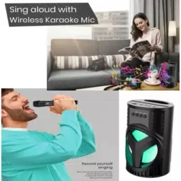 IMMUTABLE Ws03/Lz4103 new Bluetooth speaker with karoke mic T17 10 W Bluetooth Home Audio Speaker image 3