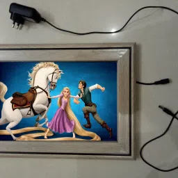 , CINDERELLA MODAL NO-49 , 15.5 inch LED PHOTO FRAME-26