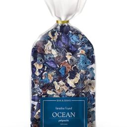 Ocean Potpourri-13