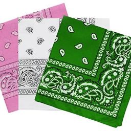 Bismaadh Cotton Paisley Pattern Bandana, Scarf and Handkerchief for Men & Women ["Light Pink","White","Dark Green"] Handkerchief-image-44