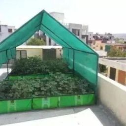 (10Ftx20Ft)-75% Green Shade Net/ Green Net/ For Balcony/ Garden/ Plants Net Portable Green House-image-82