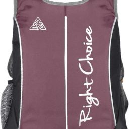 Small 20 L Backpack (2219) black purple stylish college bags boy & girl-image-60