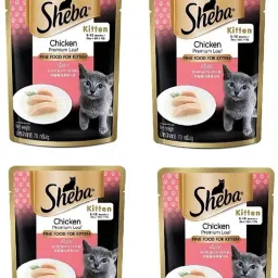 sheba kitten gravy combo of 4 pcs by footwear junction 70g each Chicken 0.28 kg (4x0.07 kg) Wet Young Cat Food-image-28