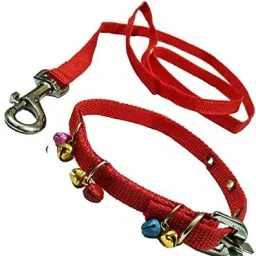 Dog & Cat Collar & Leash-1
