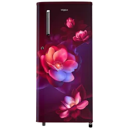 Whirlpool WDE 184 Litres 2 Star Direct Cool Single Door Refrigerator with Anti Bacterial Gasket (72680, Wine Bloom)-image-28
