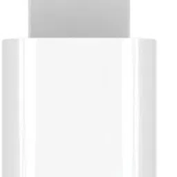 Raptas Lightning OTG Adapter-17
