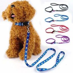 Nylon Paw Print 10MM Collar Set for Puppies small Dog & Cat Collar & Leash-5