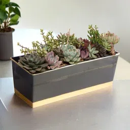 ecofynd Black Rectangular Planter-picture-5