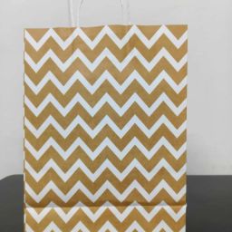 Printed Party Bag-38