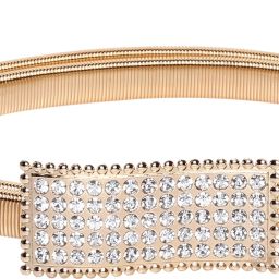 Women Gold Metal Belt-image-97
