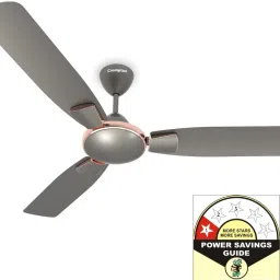Toro 1 Star 1200 3 Blade Ceiling Fan-picture-21