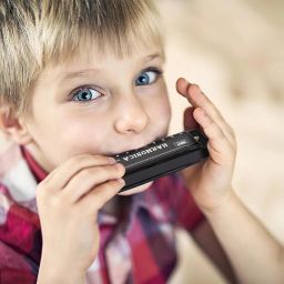 Harmonica Mouth Organ Musical Instrument (black)-image-67