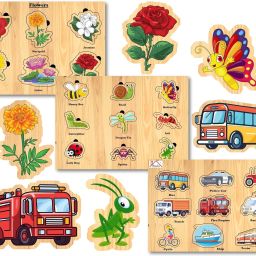 Wooden Puzzle Educational Toy for Kids (Flowers,Insects & Vehicles)-21