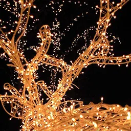 XERGY Off White 120 LED Solar Powered Outdoor Fairy String Light-image-49